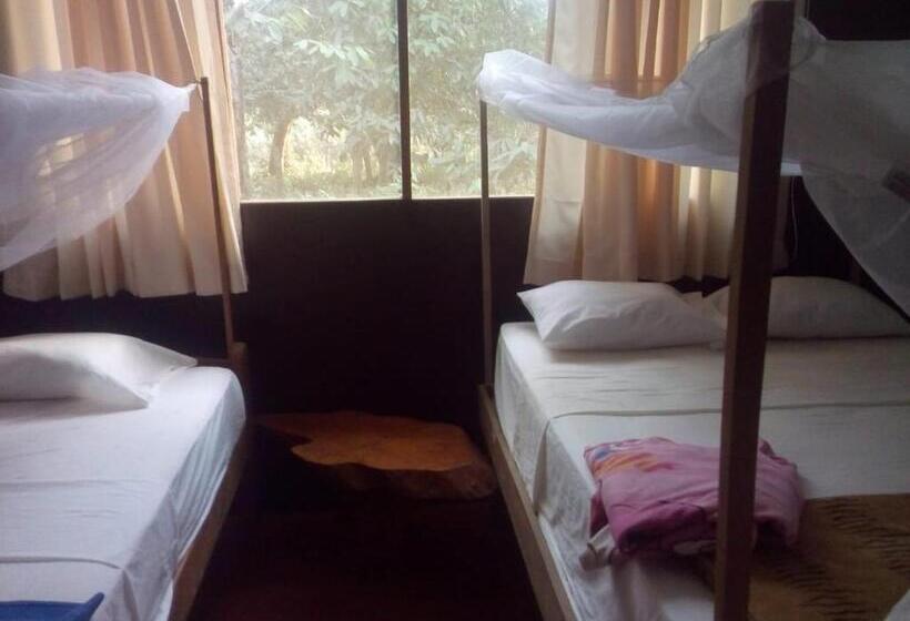 تختخواب در اتاق مشترک, Don Jaime   Hostel