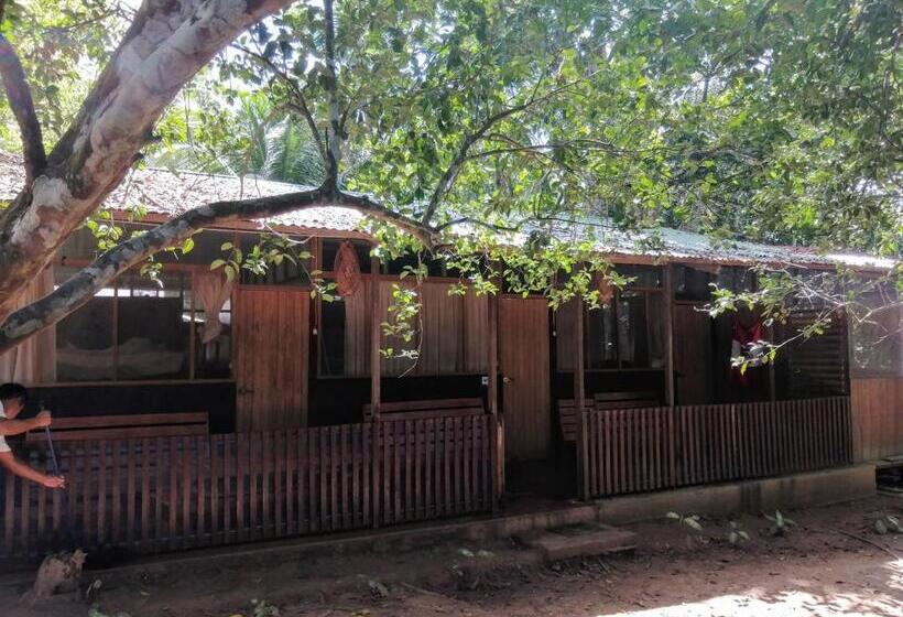 Номер Стандарт, Don Jaime   Hostel