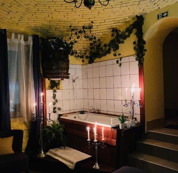 Номер Стандарт, Chateau Vincze