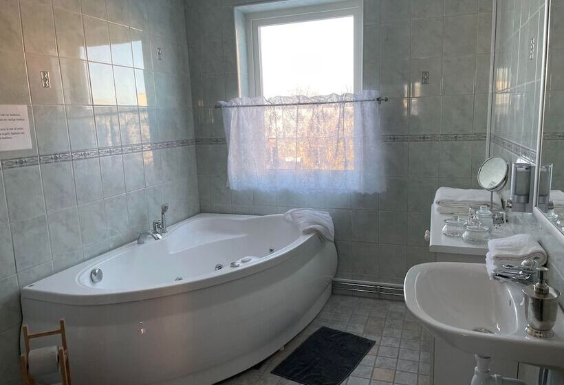 Полулюкс, Brålanda Hotell Och Vandrarhem