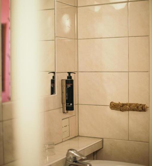 Трежместный Номер Economy, Vallåsens Värdshus Stf Hostel