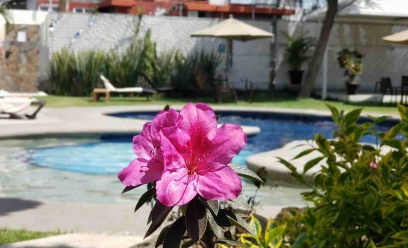 エクゼクティブルーム, Casa Francisco