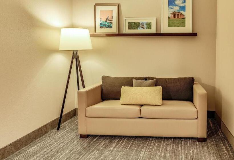 Deluxe Suite King Bed, Country Inn & Suites By Radisson, Nashville Airport, Tn