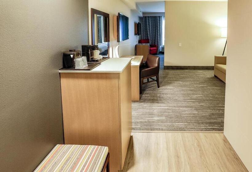Deluxe Suite King Bed, Country Inn & Suites By Radisson, Nashville Airport, Tn