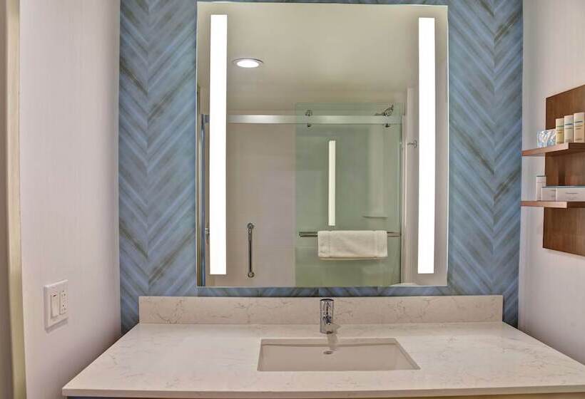 小型套房, Hilton Garden Inn Kansas City