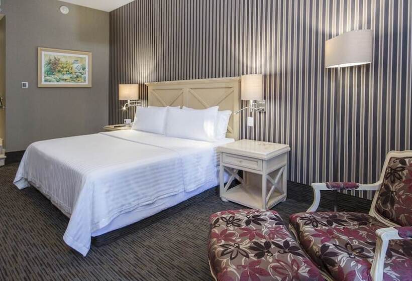 Номер Стандарт, Holiday Inn Queretaro Centro Historico, An Ihg