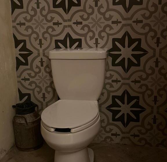 Suite, Casa Miura Hotel Boutique