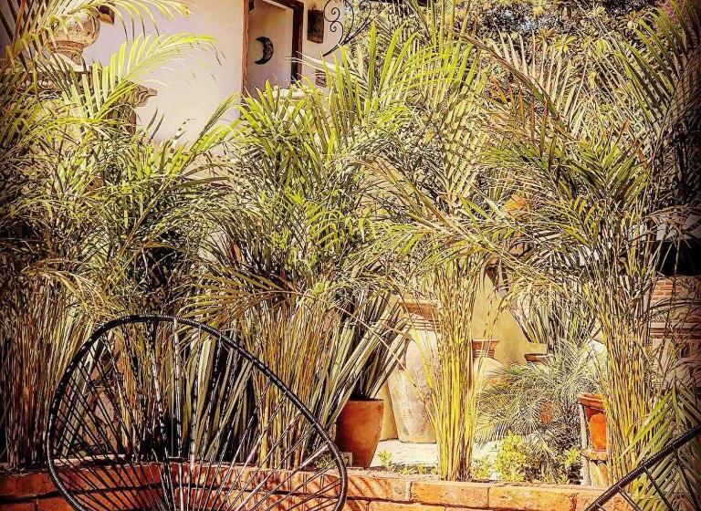 Suite Deluxe Llit King, Casa Miura Hotel Boutique