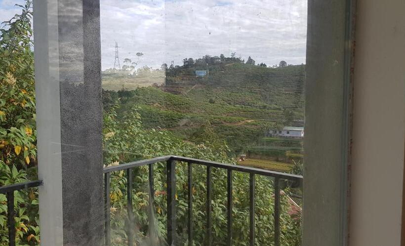 חדר משפחתי, Coldworld