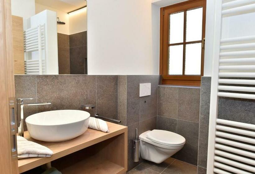 １ベッドルームアパートメント, Appartements Lenzenhof