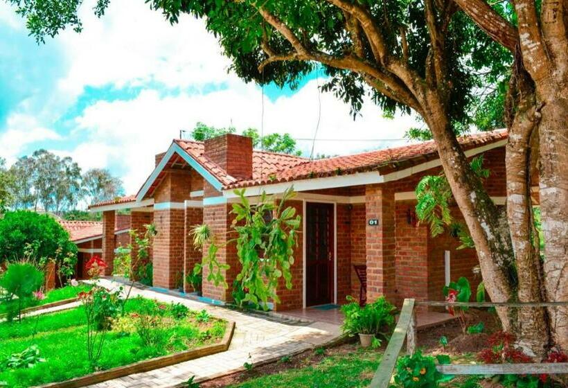 Номер Стандарт, Fazenda Alvorada