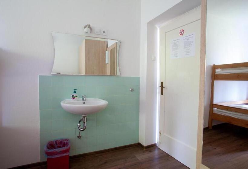 اتاق استاندارد با سرویس بهداشتی مشترک, Hostel Trobenta In Oblak