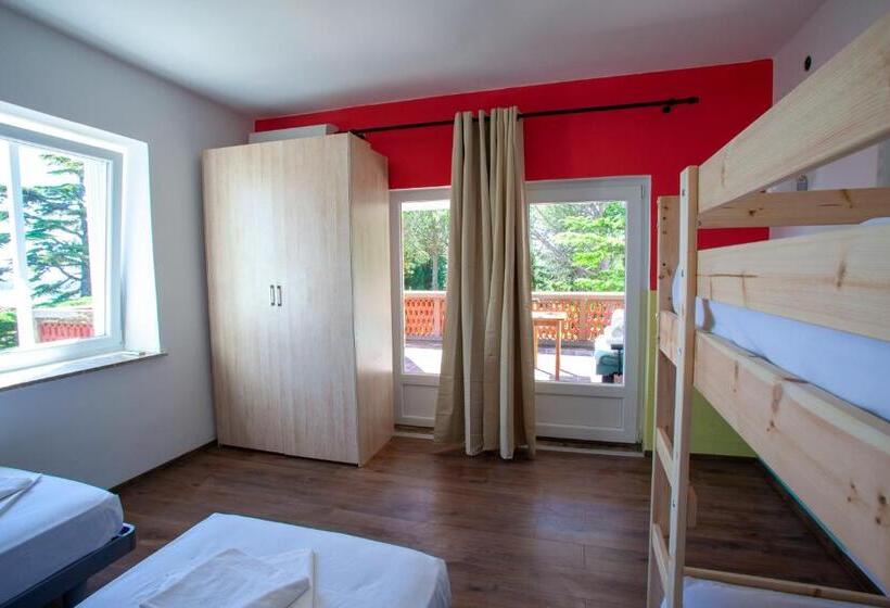 اتاق استاندارد چهارنفره با سرویس بهداشتی مشترک, Hostel Trobenta In Oblak