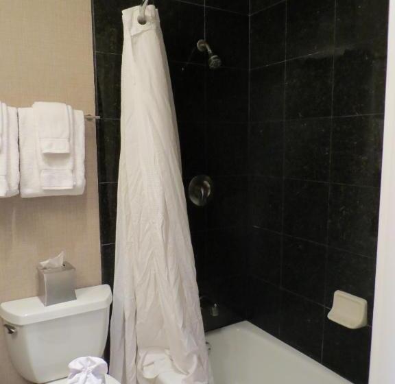 اتاق لوکس, 7 Springs Inn & Suites