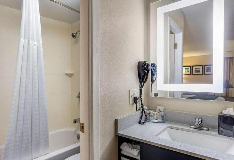 Pokój Standard Łóżko King Size, Comfort Inn Nashville  Opryland Area