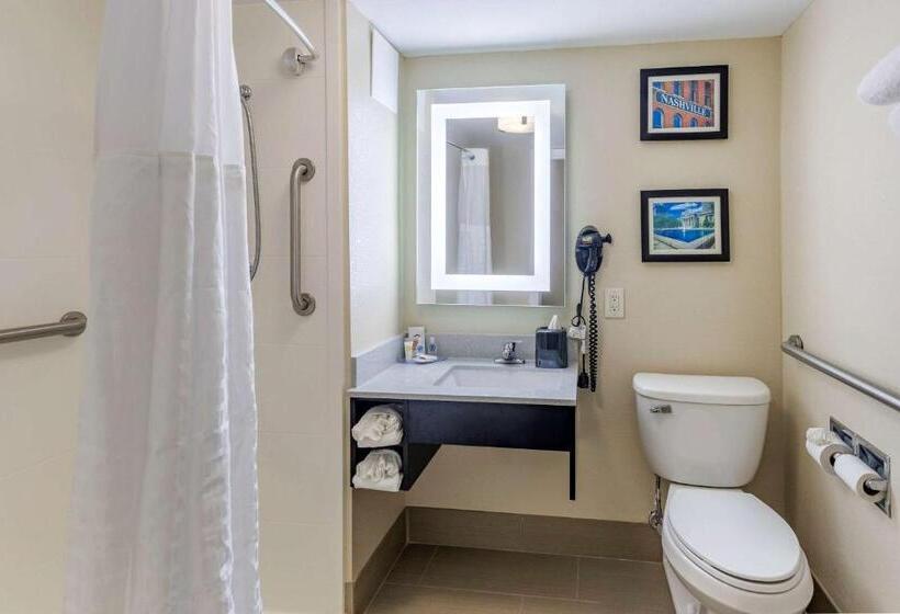 Pokój Standard Łóżko King Size, Comfort Inn Nashville  Opryland Area
