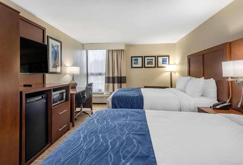 Pokój Typu Standard Przystosowany dla Osób Niepełnosprawnych, Comfort Inn Nashville  Opryland Area