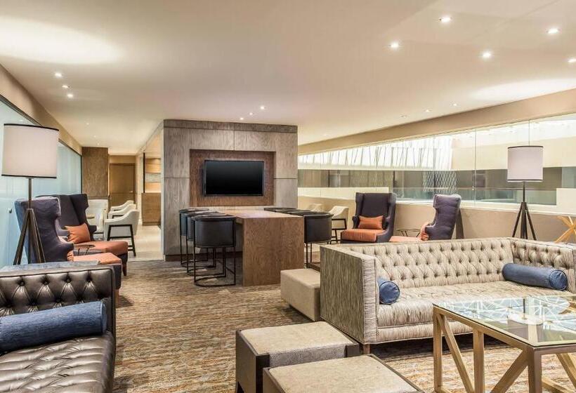 Club Room King Bed, Sheraton Chihuahua Soberano