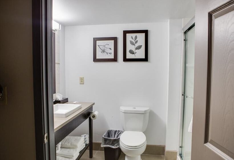 Стандартный Номер Кровать Кинг, Country Inn & Suites By Radisson, Harlingen, Tx
