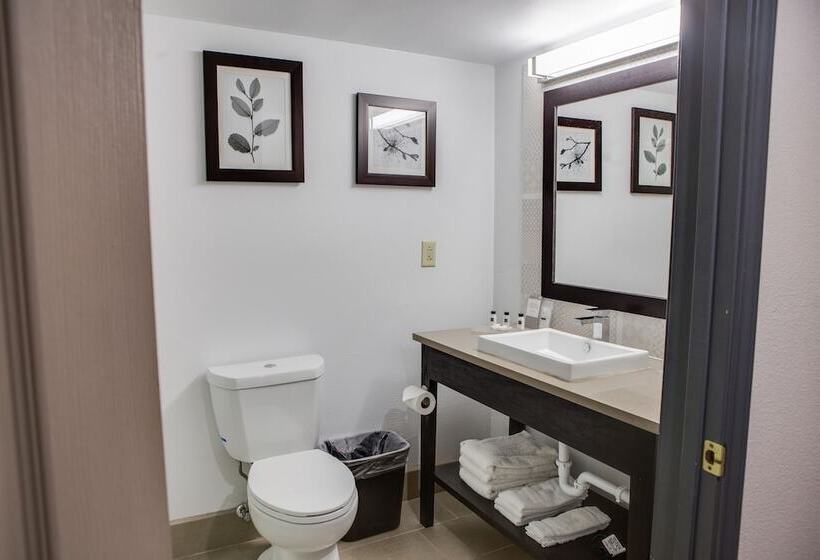 Люкс, Country Inn & Suites By Radisson, Harlingen, Tx