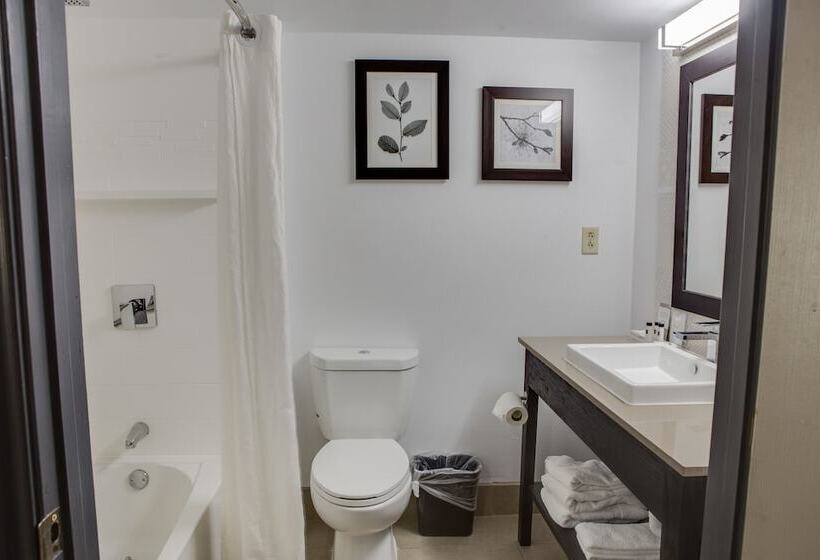 Люкс, Country Inn & Suites By Radisson, Harlingen, Tx