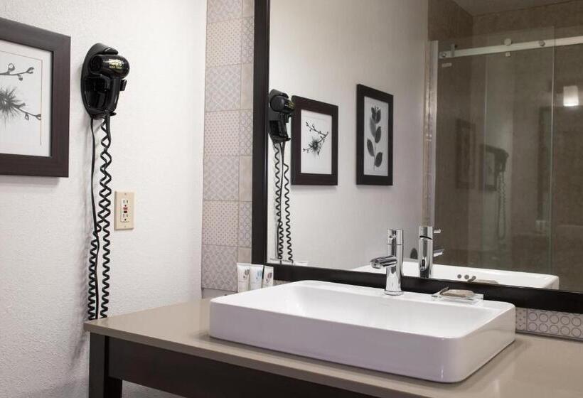 Стандартный Номер Кровать Кинг, Country Inn & Suites By Radisson, Platteville, Wi