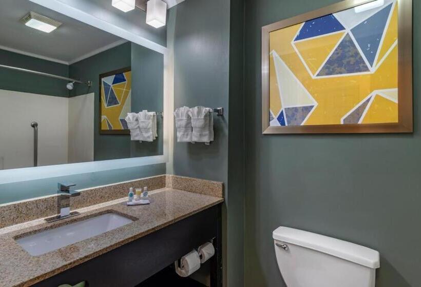 Стандартный Номер Кровать Кинг, Comfort Inn & Suites At Stone Mountain