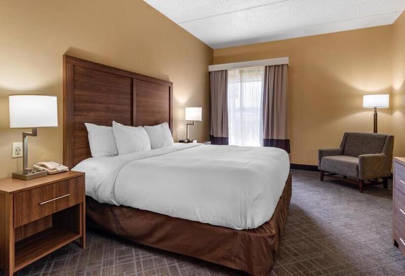 Стандартный Номер Кровать Кинг, Comfort Inn & Suites At Stone Mountain