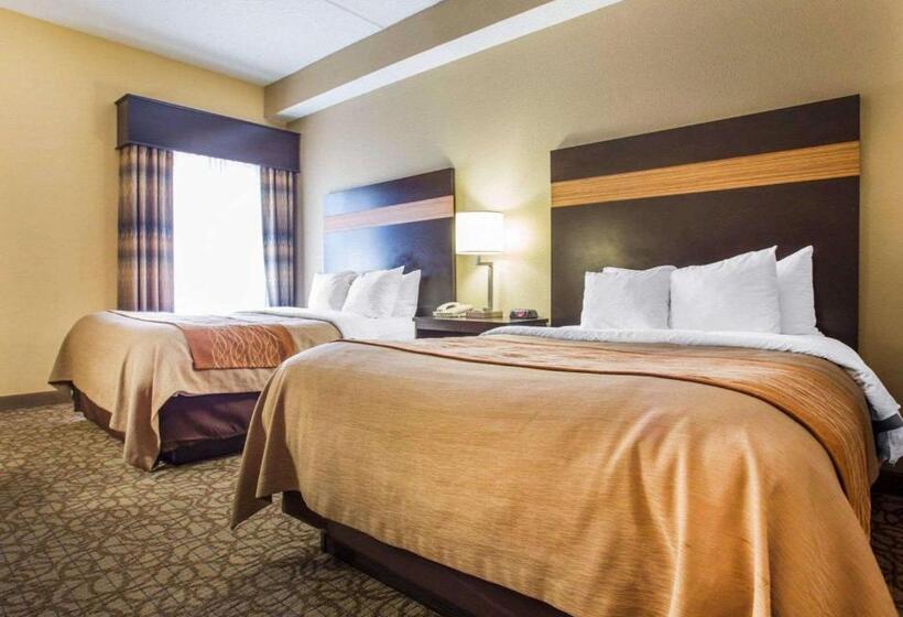 Номер Стандарт, Comfort Inn & Suites At Stone Mountain