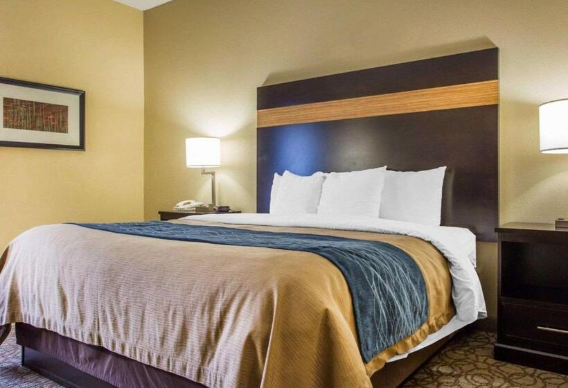 Стандартный Номер Кровать Кинг, Comfort Inn & Suites At Stone Mountain