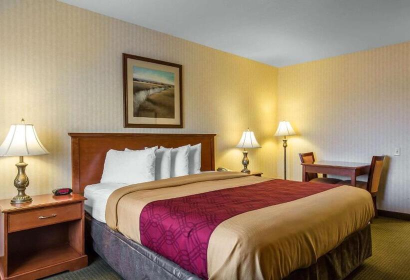 스탠다드 룸 킹사이즈 침대, Econo Lodge Inn & Suites Riverside  Corona