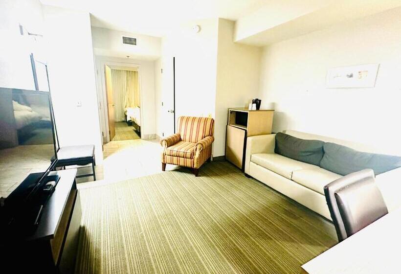 Deluxe Suite met Kingsize Bed, Radiant Inn And Suites