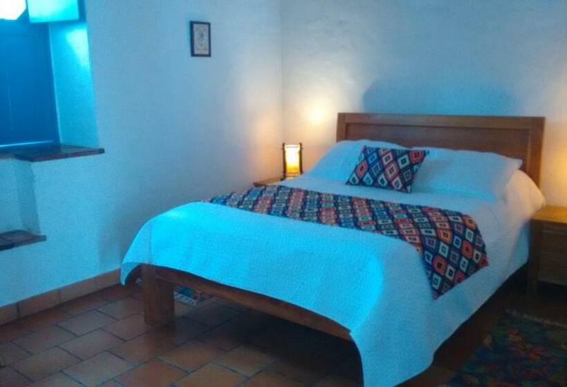 Студия Стандарт, Arapaima B&b
