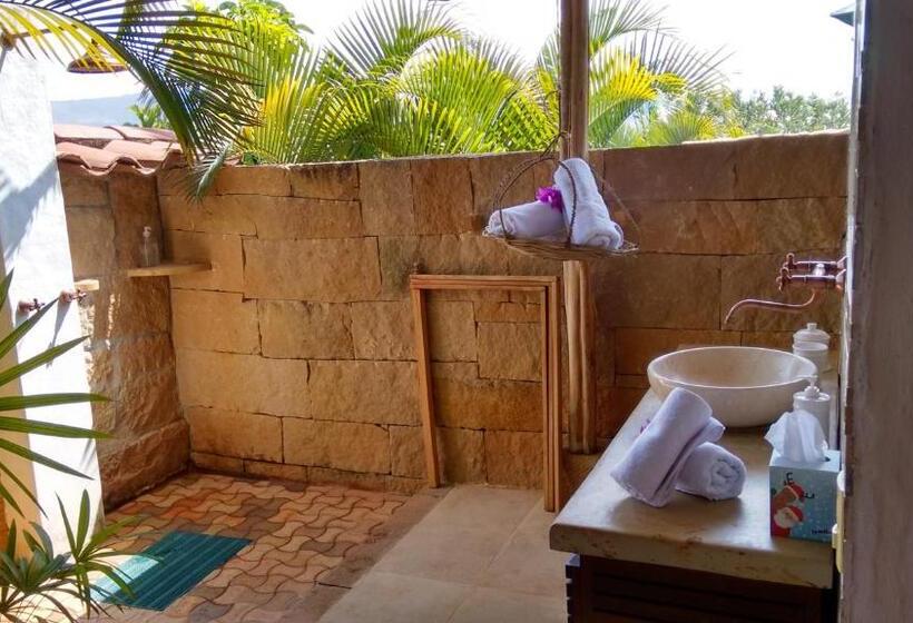 Студия Deluxe, Arapaima B&b