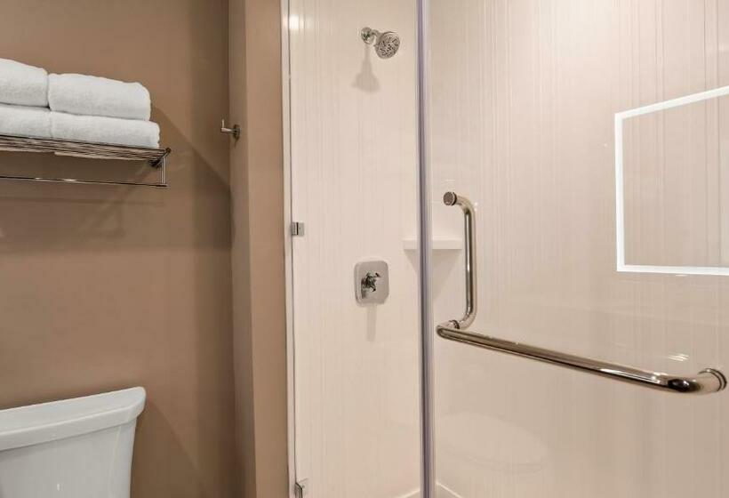 스탠다드 룸 킹사이즈 침대, Best Western Plus Settlers Point