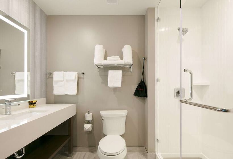 장애인을 위한 스위트, Best Western Plus Settlers Point
