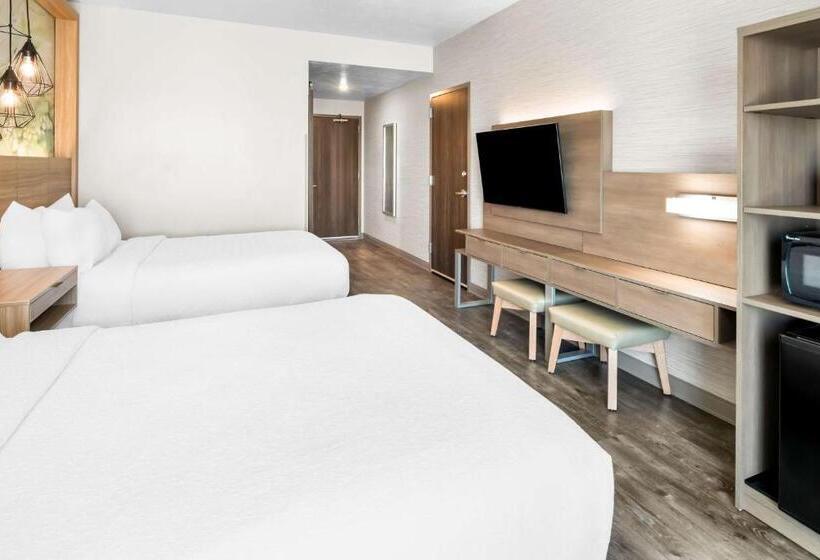 장애인을 위한 스탠다드 룸, Best Western Plus Settlers Point