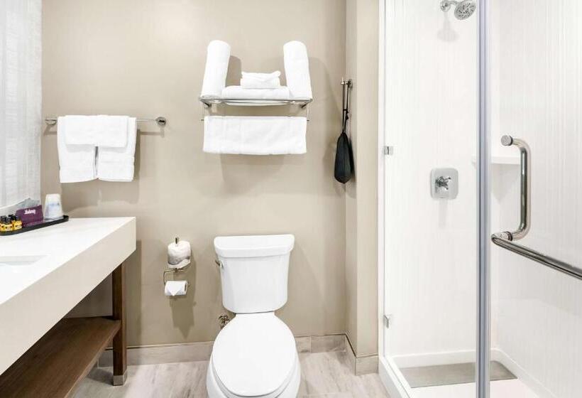 스위트 킹사이즈 침대, Best Western Plus Settlers Point