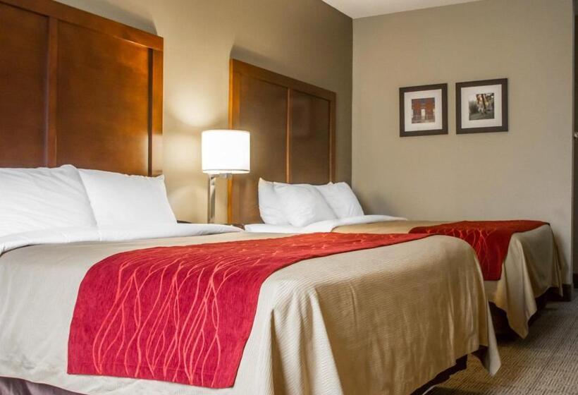 스탠다드 룸, Comfort Inn Amite