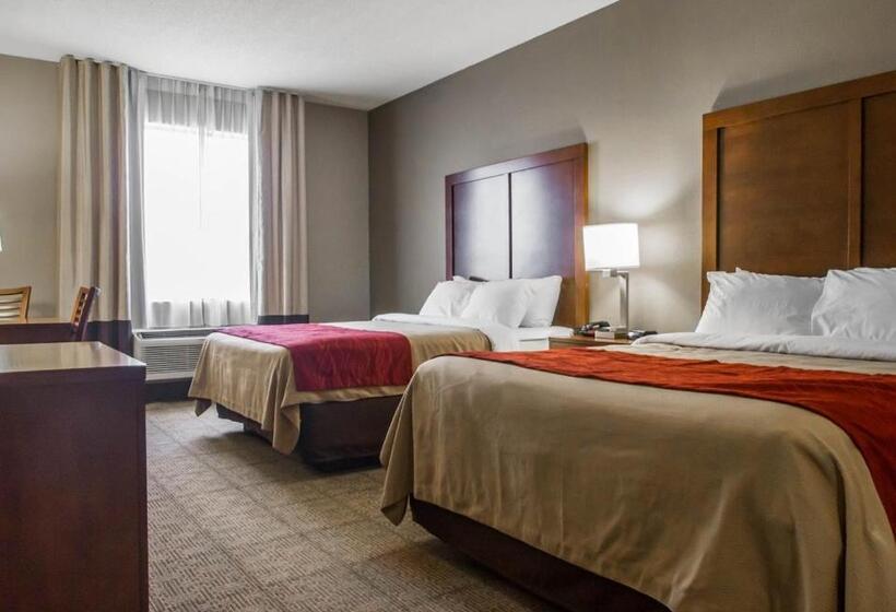 스탠다드 룸, Comfort Inn Amite
