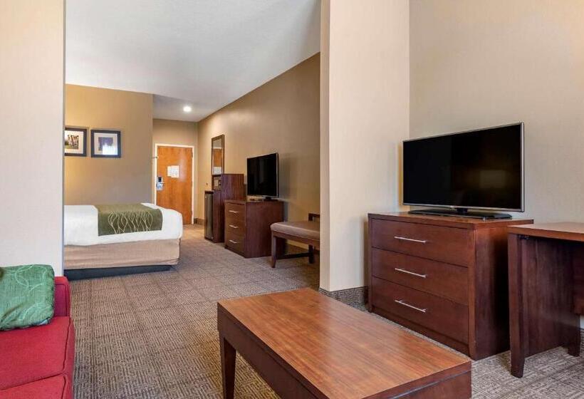 스위트 킹사이즈 침대, Comfort Inn Amite