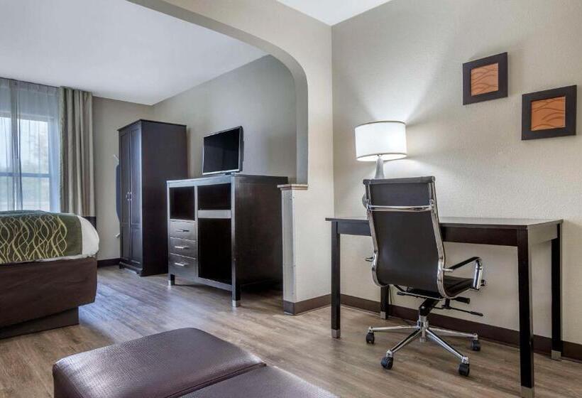 Люкс Кровать Кинг, Comfort Inn Near Downtown & Blue Ridge Pkwy