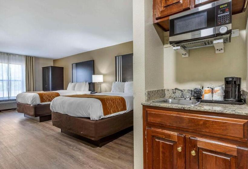Люкс, Comfort Inn Near Downtown & Blue Ridge Pkwy