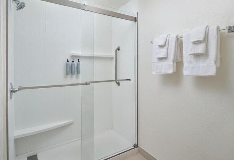 장애인을 위한 킹사이즈 침대 스탠다드 룸, Courtyard Baton Rouge Siegen Lane