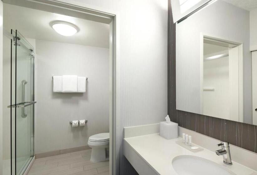 Люкс Кровать Кинг, Courtyard By Marriott Austin Round Rock