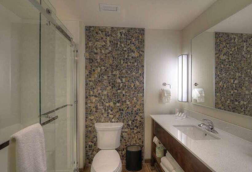 חדר סטנדרט עם מיטת קינג, Hilton Daytona Beach Oceanfront Resort