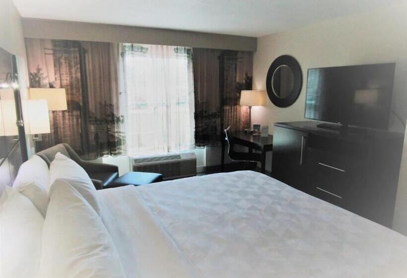 اتاق استاندارد با تخت بزرگ, Hampton Inn St. Augustine Downtown Historic District