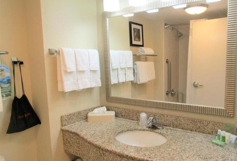 Люкс, Hampton Inn St. Augustine Downtown Historic District
