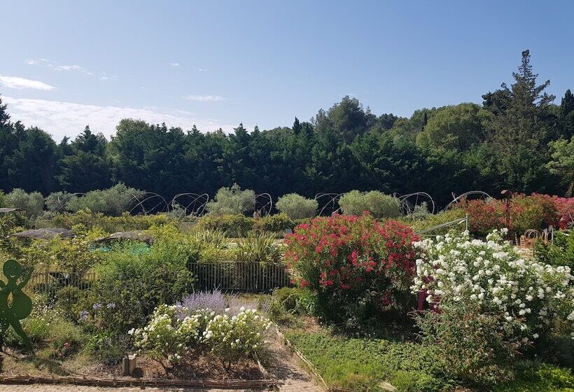Номер Стандарт, Mas Des Figues   Mas Xviiie   Ouvert 01 Mai Au 30 Septembre 2025   Piscine Très Calme   Alpilles Sai