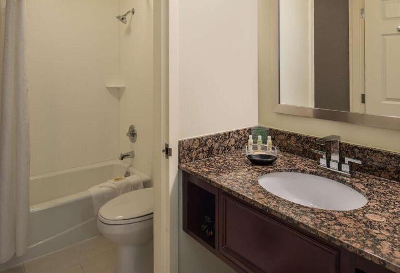 Habitació Deluxe Llit King, Sonesta Chicago O Hare Airport Rosemont